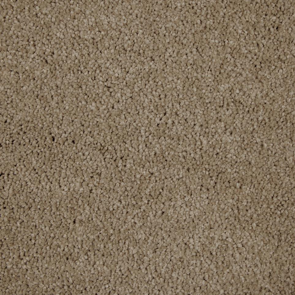 Texture Solitude Brown Carpet