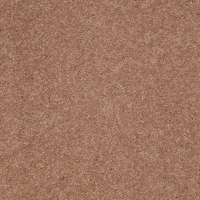 Textured Saxony Cork Board Beige/Tan Carpet