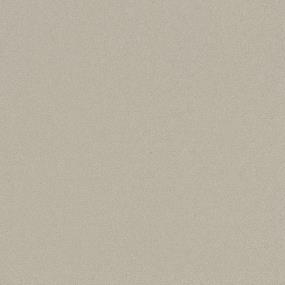 Textured Saxony Cream Beige/Tan Carpet