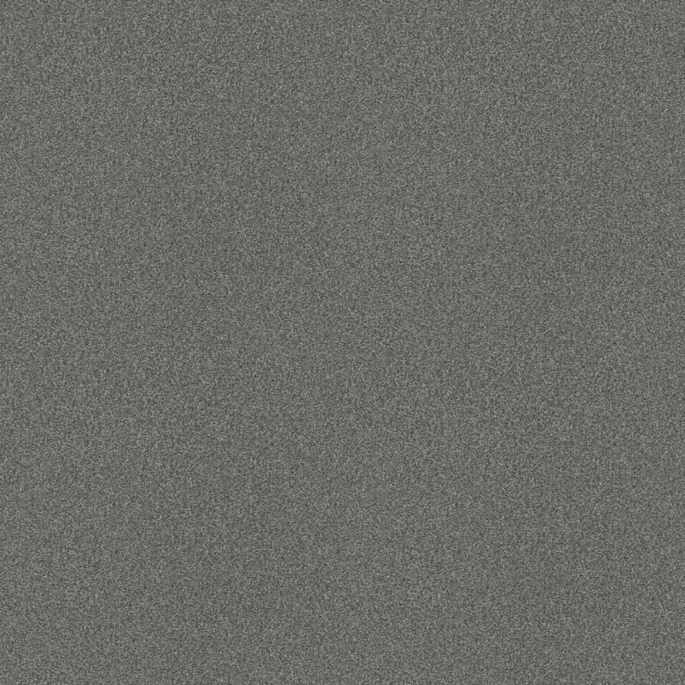 Texture Cold Steel Gray Carpet