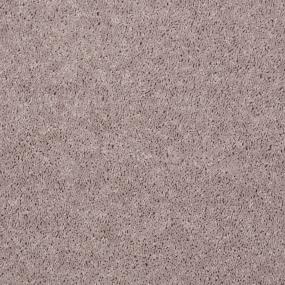 Textured Saxony Grain Beige/Tan Carpet