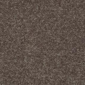 Textured Saxony Stucco Brown Carpet