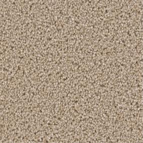 Textured Saxony Treasured Touch Beige/Tan Carpet