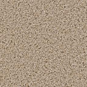 Texture Treasured Touch Beige/Tan Carpet