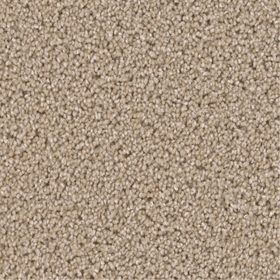 Textured Saxony Treasured Touch Beige/Tan Carpet