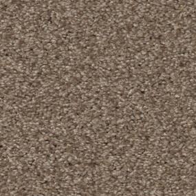 Casual Texture Sepia Brown Carpet