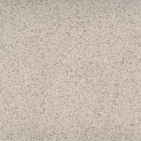 Textured Saxony Graceful Beige/Tan Carpet