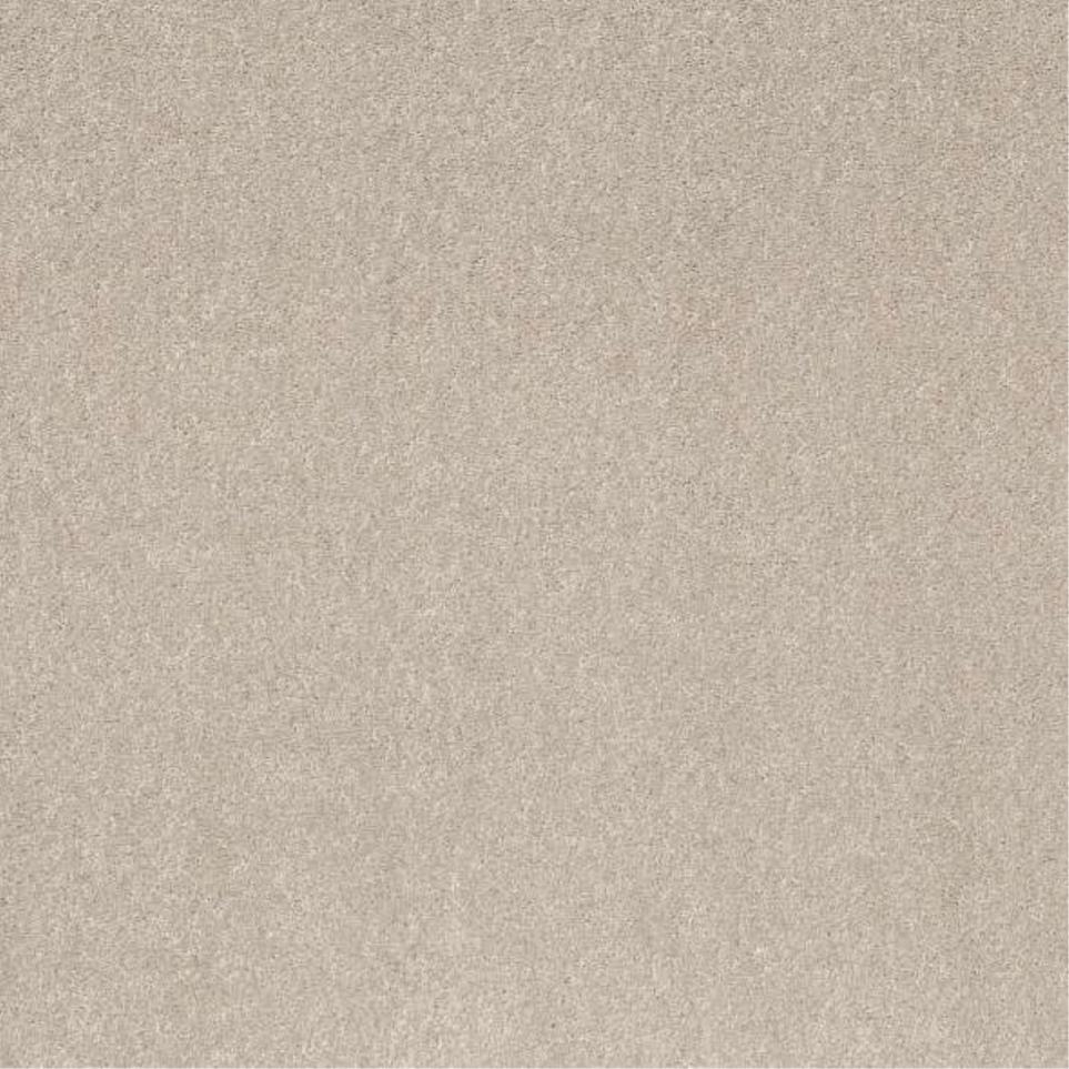 Plush Saxony Bisque Beige/Tan Carpet