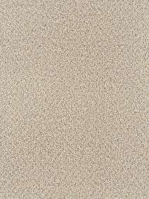 Textured Saxony Soft Glow Beige/Tan Carpet