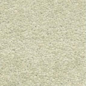Casual Texture Prado Beige/Tan Carpet