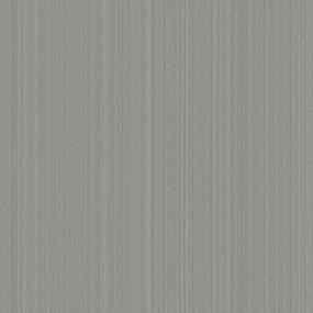 Textured Saxony GRECIAN STONE Gray Carpet