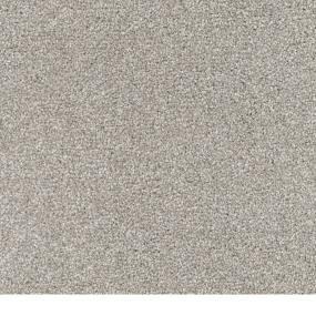Textured Saxony Yorkie Gray Carpet