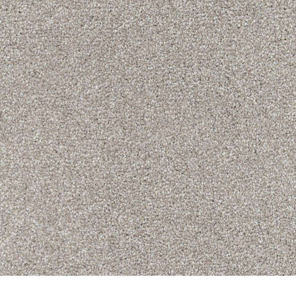 Textured Saxony Yorkie Gray Carpet