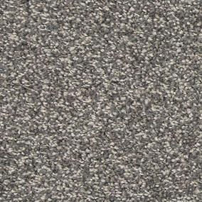 Texture Embrace Gray Carpet