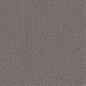 Pattern Driftwood Brown Carpet