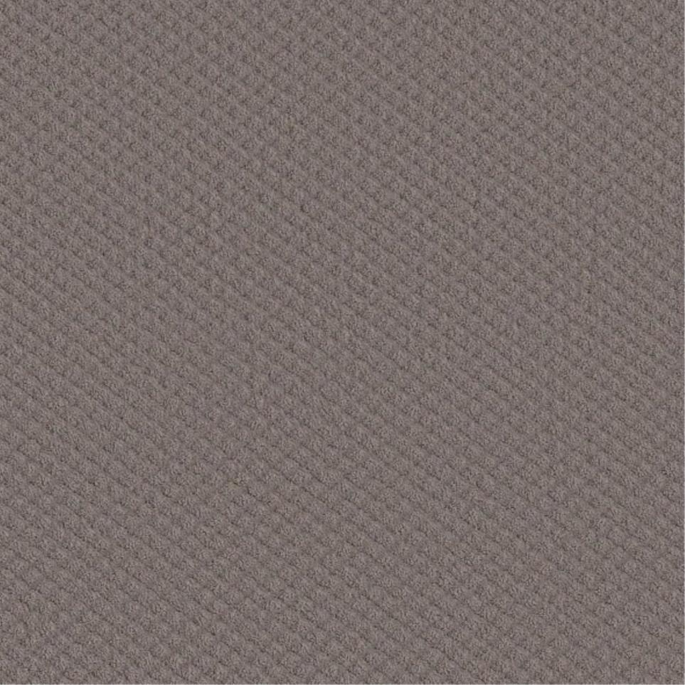 Pattern Driftwood Brown Carpet