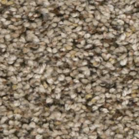 Textured Saxony Pennant Beige/Tan Carpet