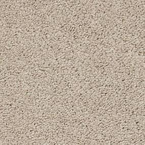 Textured Saxony Linen Beige/Tan Carpet
