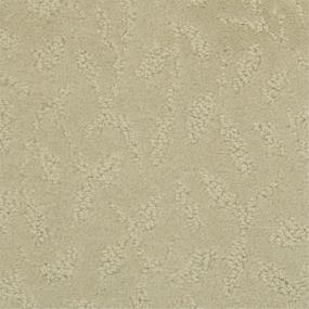 Pattern Simply Taupe Green Carpet