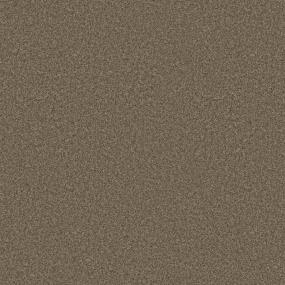 Casual Texture Pecan Beige/Tan Carpet
