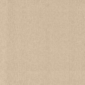 Pattern Biscotti  Beige/Tan Carpet