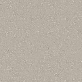 Pattern Silken Beige/Tan Carpet