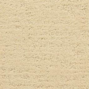 Pattern Shoreline Beige/Tan Carpet