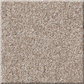 Textured Saxony Twine Beige/Tan Carpet