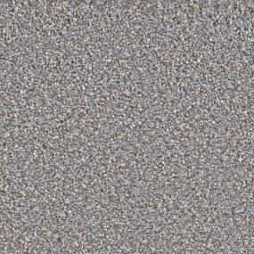 Texture Great Escape Gray Carpet