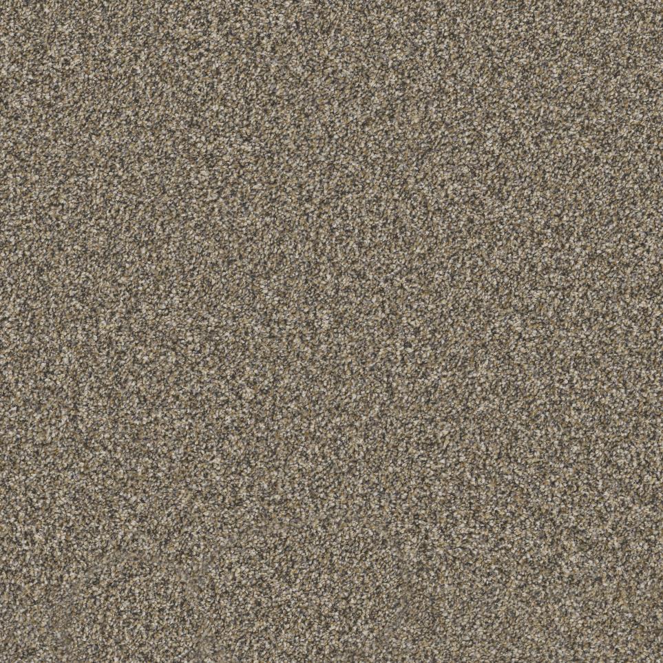 Textured Saxony Cattail Beige/Tan Carpet