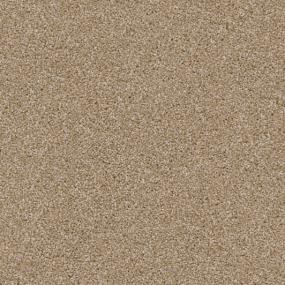 Textured Saxony Gamma Beige/Tan Carpet