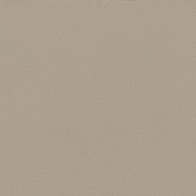 Textured Saxony WHITE LACE Beige/Tan Carpet