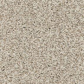 Textured Saxony Bare Necessities Beige/Tan Carpet