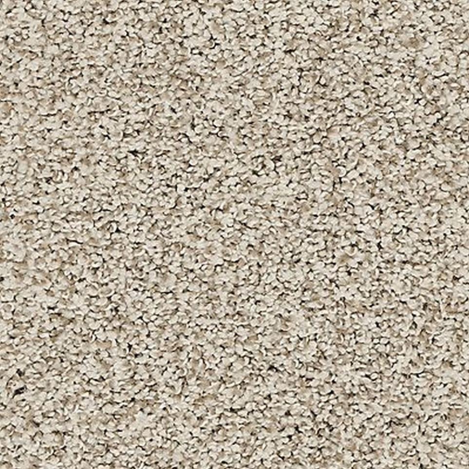 Textured Saxony Bare Necessities Beige/Tan Carpet