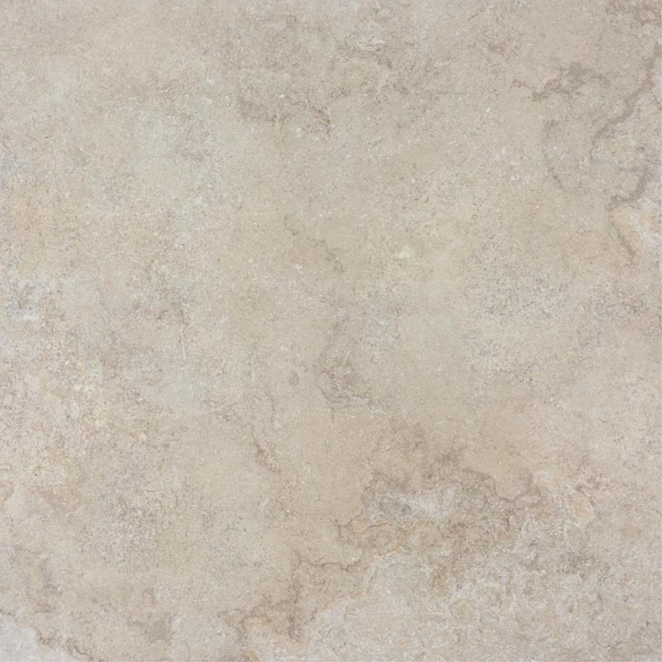 Tile Dawn Textured Beige/Tan Tile