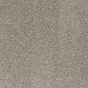 Textured Saxony Park Beige/Tan Carpet