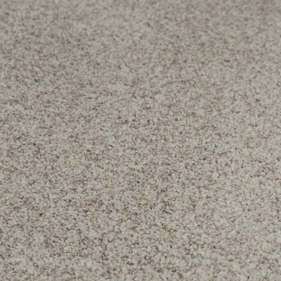 Textured Saxony Park Beige/Tan Carpet