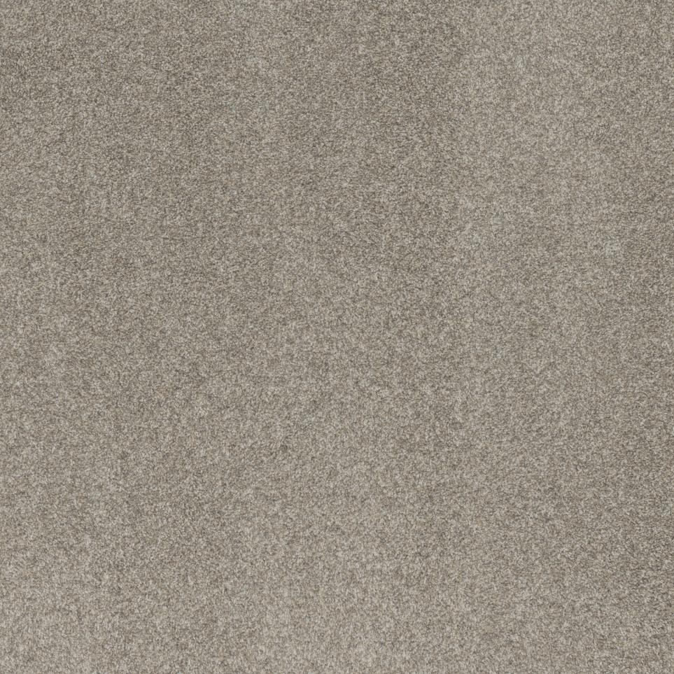 Textured Saxony Park Beige/Tan Carpet