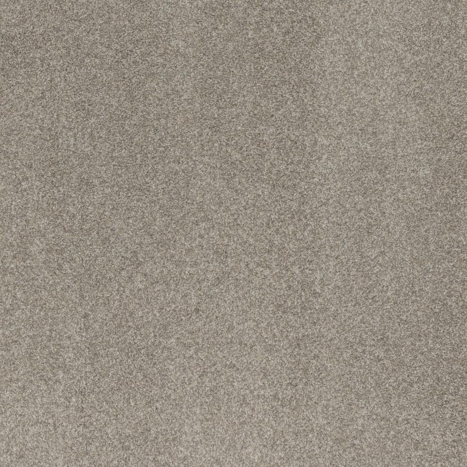 Textured Saxony Park Beige/Tan Carpet