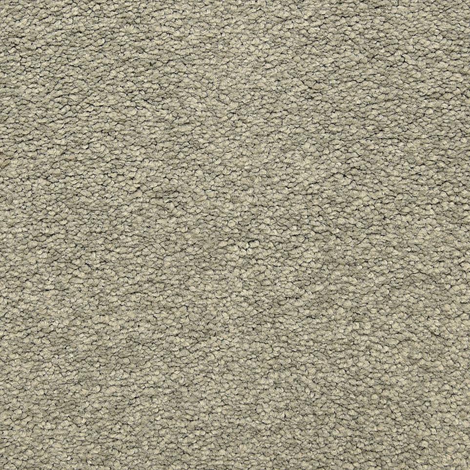 Texture Slate  Beige/Tan Carpet