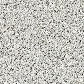 Textured Saxony Sterling Gray Carpet