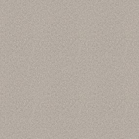 Plush Saxony Trade Winds Beige/Tan Carpet