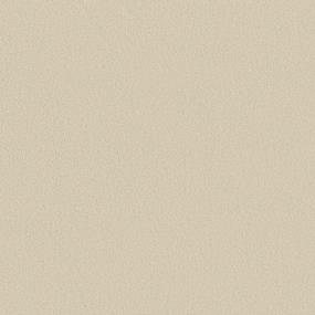 Texture Morning Light Beige/Tan Carpet