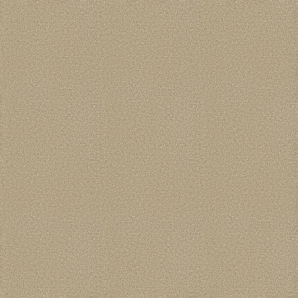 Plush Saxony Oatmeal Beige/Tan Carpet