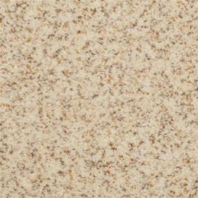 Casual Texture Macaroon Beige/Tan Carpet