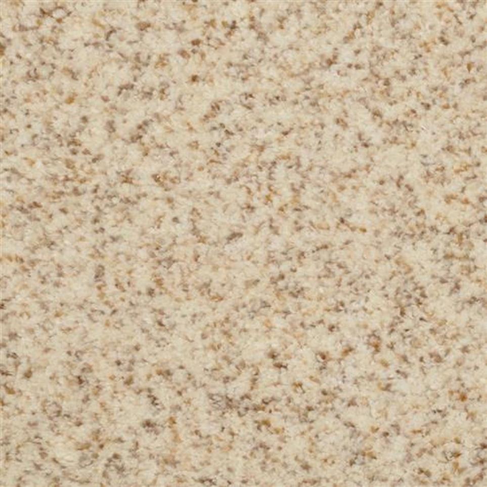 Casual Texture Macaroon Beige/Tan Carpet