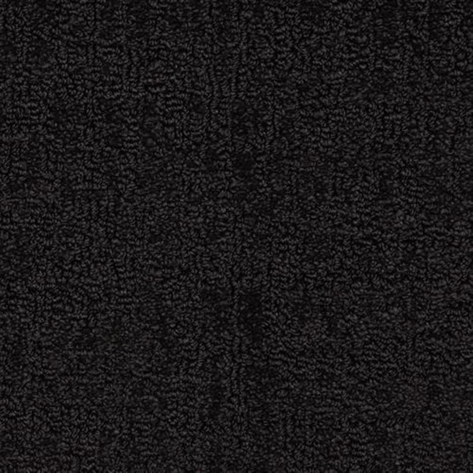 Pattern Torrent Black Carpet