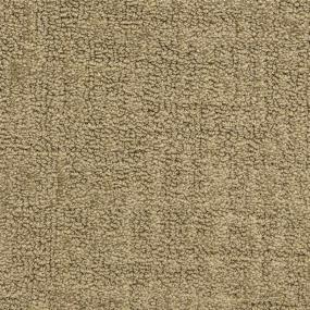 Pattern Mgm  Carpet