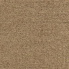 Pattern Nomination Beige/Tan Carpet