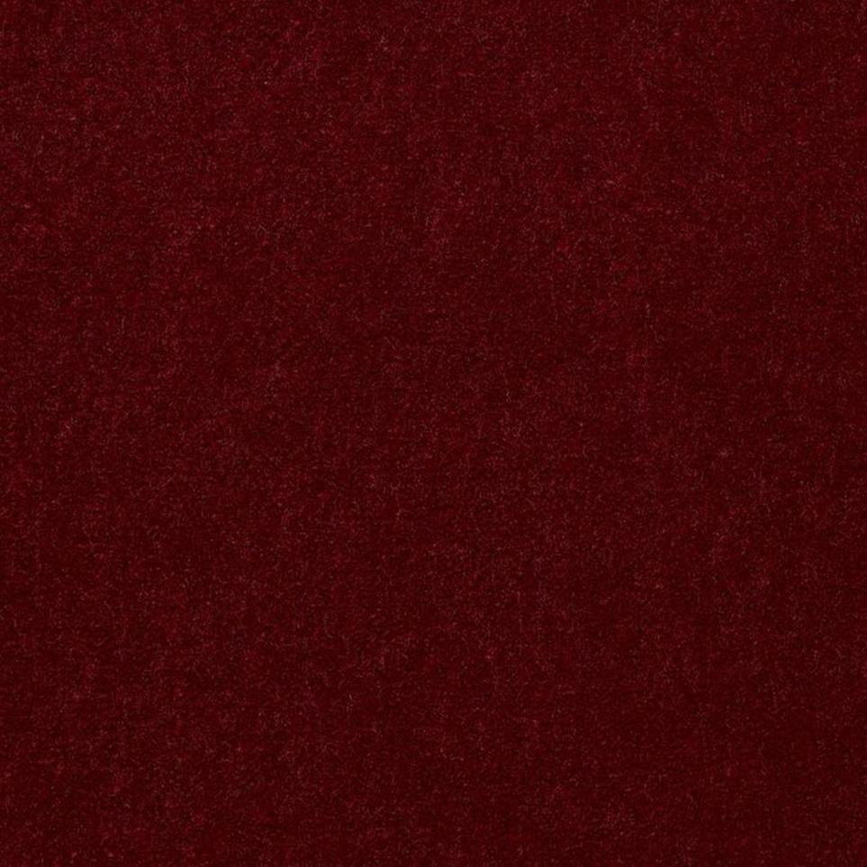 Cut Pile Cherry Red Carpet